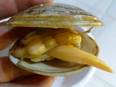 -锋味海鲜菜馆