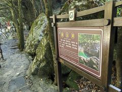 -石台牯牛降景区