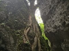 -山王坪喀斯特国家生态公园