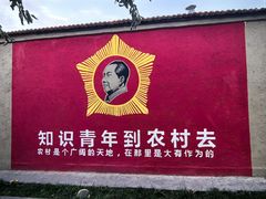-特克斯八卦城