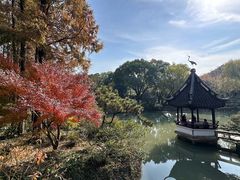 -上海醉白池公园