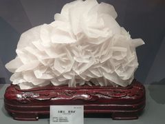 -湖南省地质博物馆