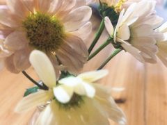 iphone_upload_pic-微焙咖啡工厂(海峡创意产业园·红坊店)