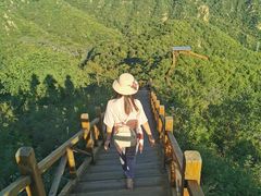 -大岭沟猕猴桃谷风景区