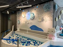 景观位-八喜G’nature冰淇淋旗舰店