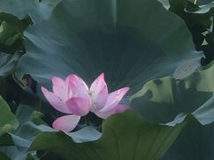 -哈尔滨师范大学(松北校区)