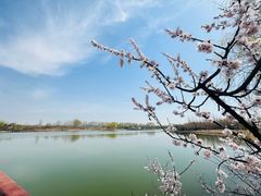 -东郊湿地公园