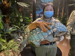 -侏罗纪世界电影特展(广州站)