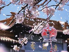 -太湖饭店·寄畅轩中餐厅