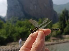 -楠溪江石桅岩