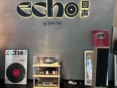 -Echo回声黑胶唱片咖啡馆