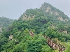 -大岭沟猕猴桃谷风景区