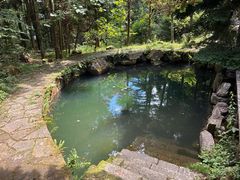 -天目山大树王景区