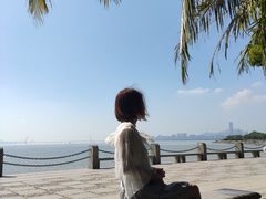 -宝安西湾红树林湿地公园