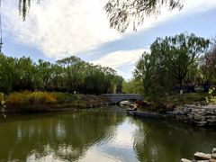 -大兴滨河森林公园