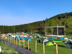 -武陵山森林公园
