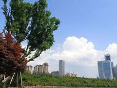 -洛龙公园