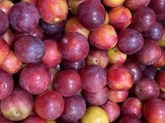 -锦绣大地生鲜食品厅