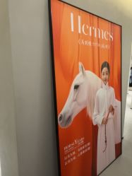 -大树儿童摄影
