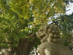 -北京石刻艺术博物馆(五塔寺)