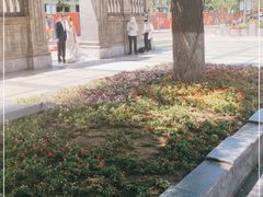 -王府井天主教堂