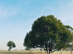-钟山体育运动公园