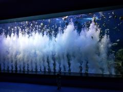 -多彩贵州城极地海洋世界