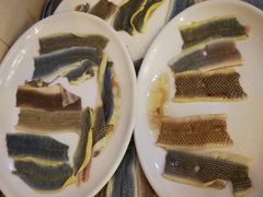 中榕蛇-荔城生鲜盛宴(番禺旗舰店)