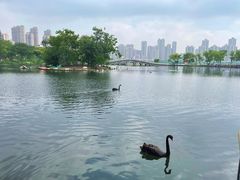 -武汉动物园