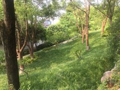 -林屋洞景区
