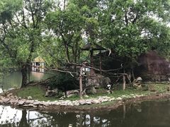 -清迈夜间动物园