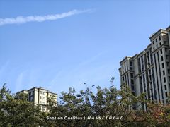 -李村大集