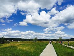 -塞罕坝国家级自然保护区