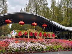 -东平国家森林公园