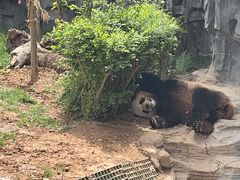 -五龙山野生动物王国