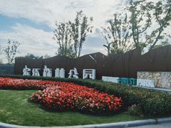 -上海滨江森林公园