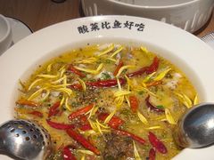 -太二酸菜鱼(赛格国际店)