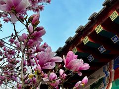 -丰台花园