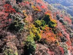 -广州市石门国家森林公园
