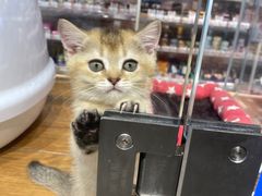 -狗道宠物(常熟印象城店)