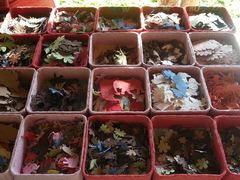 android_upload_pic-大象粑粑造纸公园