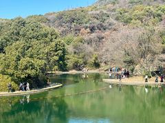 -柯岩风景区