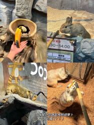 -Zoolung Zoolung动物主题公园(海信广场店)