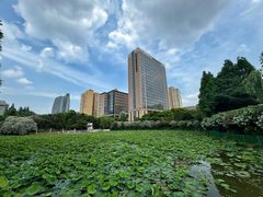 -黄兴公园