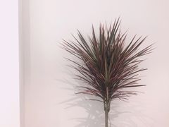 -花沐 FLOWER BATH(凤凰城店)