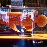海边到了自己家的小院里吃饭
