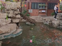 景观位-森谷美食公园(杨行店)