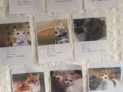 -平行世界·猫咖(首经贸店)