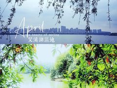 -艾溪湖湿地公园