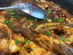 砂锅碟鱼头-双合园·海鲜水饺青岛菜(万佳广场店)